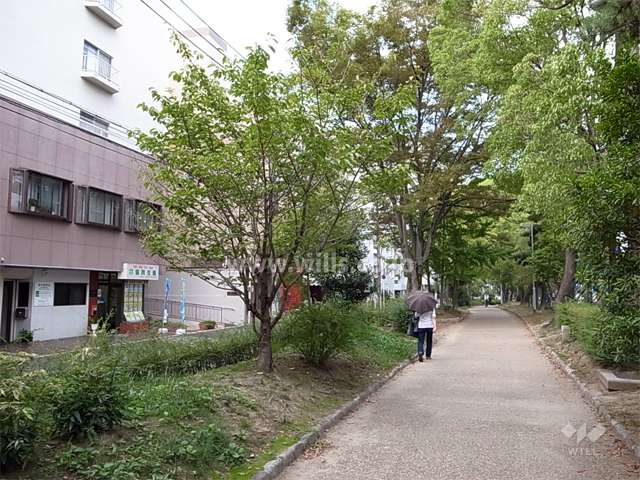 敷地の東側は街路樹がきれいな府道吹田箕面線に面しています。