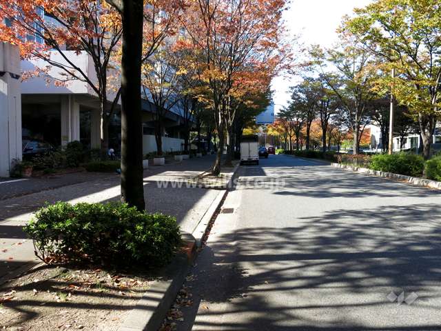 敷地北側の前面道路