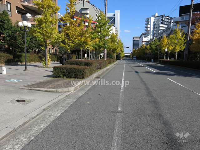 敷地南側の前面道路