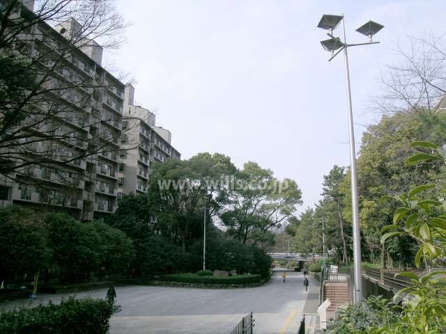 敷地の北側は、『服部緑地』に向かう緑道に面しています。