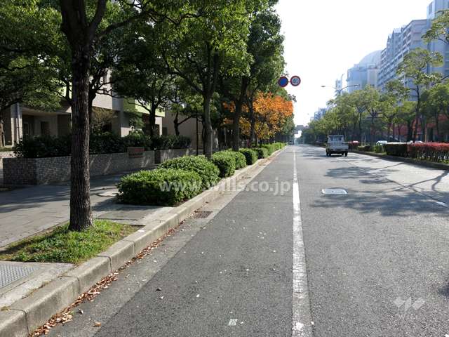 敷地西側の前面道路