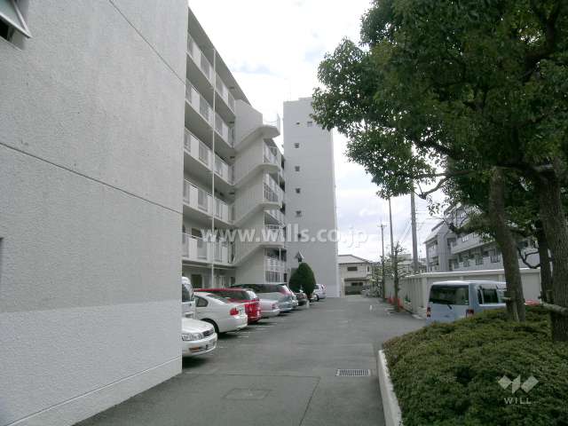 敷地内駐車場（平面式）