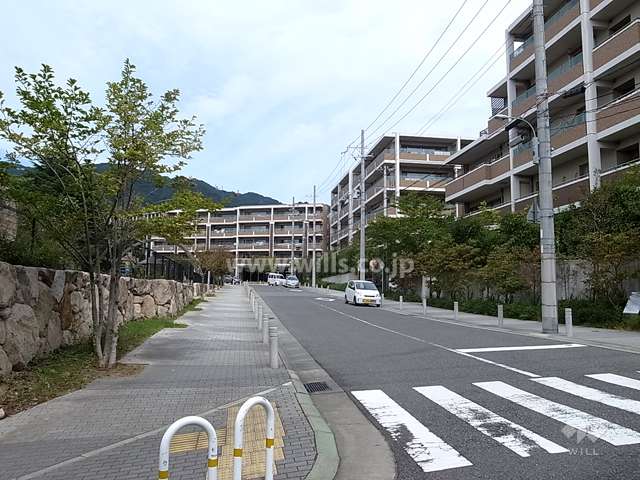 敷地西側の前面道路