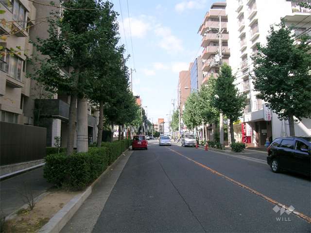 敷地西側の前面道路