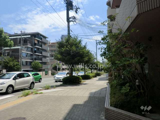 敷地東側の前面道路