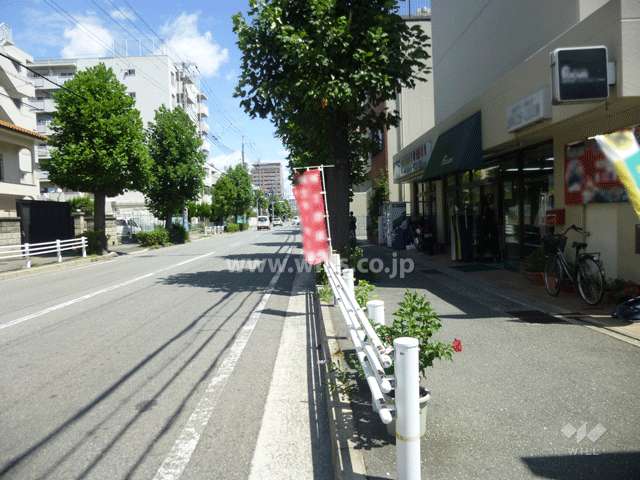 敷地北側の前面道路
