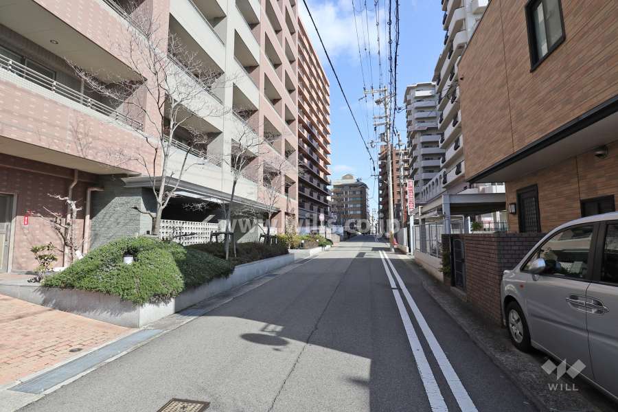 敷地南側の前面道路