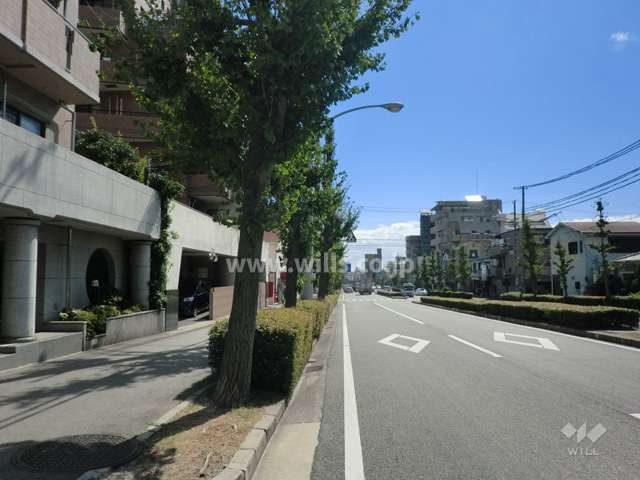 敷地西側の前面道路。4車線の通りです。