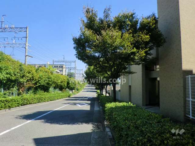 敷地北側の前面道路