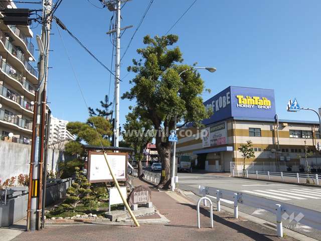 敷地南側の前面道路