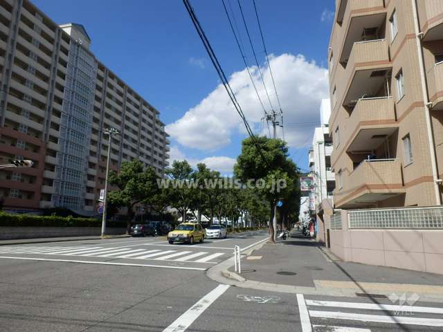 敷地西側の前面道路