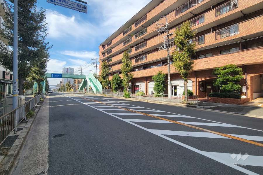 敷地南側の前面道路