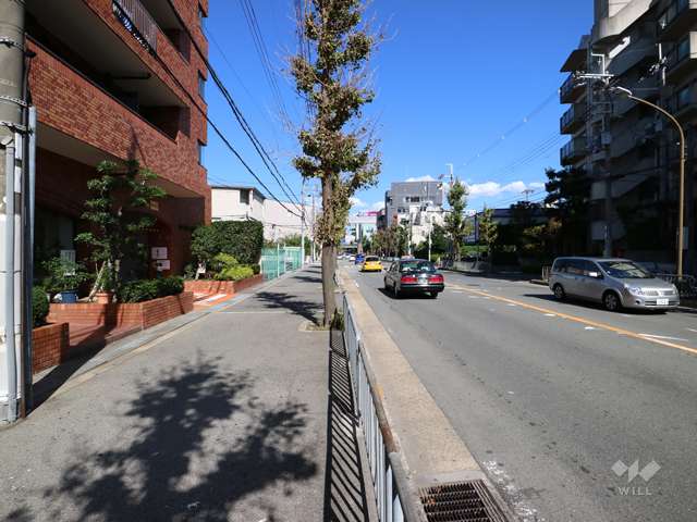 敷地南側の前面道路（西側から）