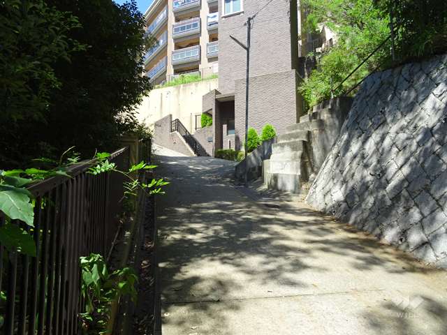 敷地南側の前面道路。サブエントランスへと続きます。