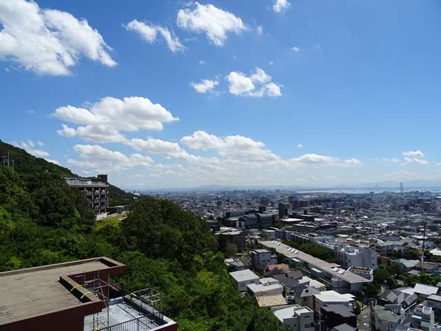 ザ・岡本プレミアムの遠景。南斜面の高台にあり、周囲は緑に囲まれています。