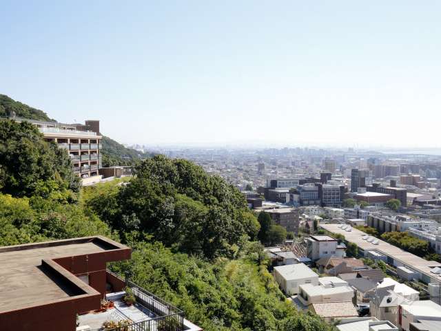 高台にあり、周囲を山林に囲まれています。