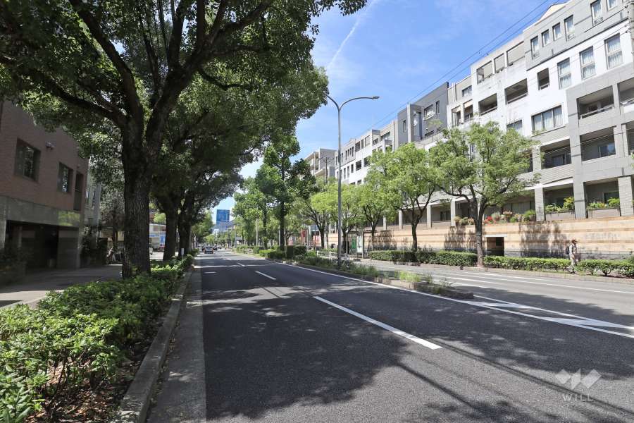 敷地北側の前面道路。山手幹線です。