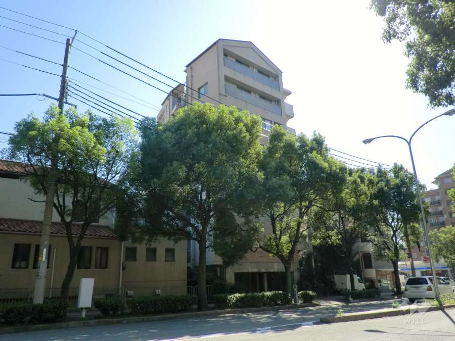 シェヌーア御影の外観（北東側から）
