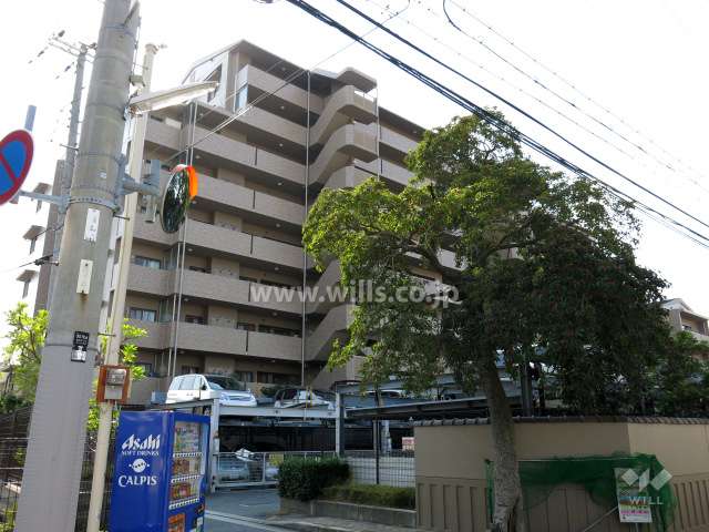 ジオ魚崎住吉川の外観（北東側から）