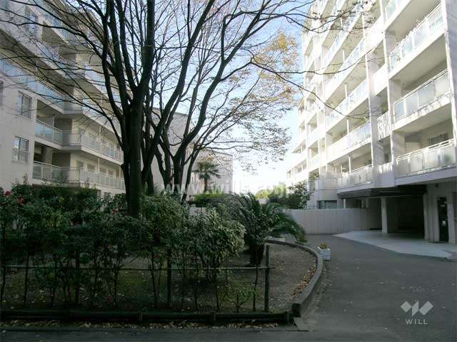 C棟とD棟の間にある中庭