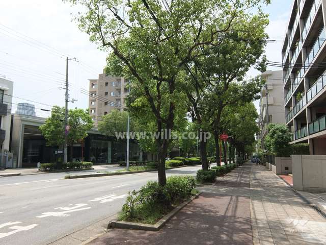 敷地南側の前面道路（山手幹線）