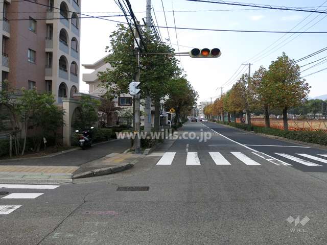 敷地北側の前面道路