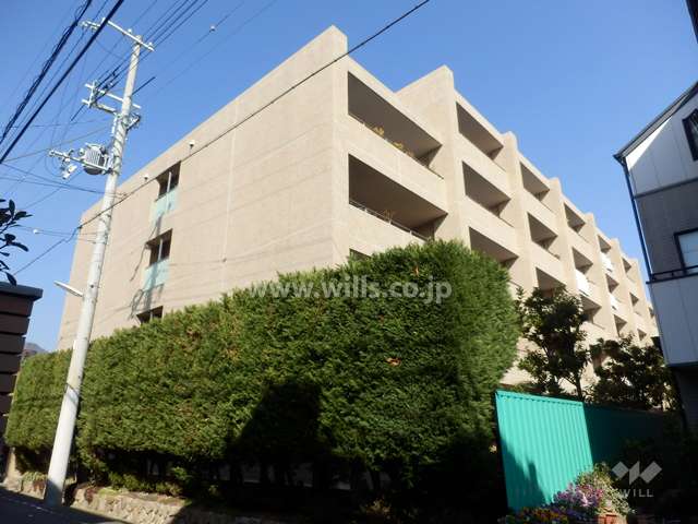 チュリス本山の外観（南西側から）