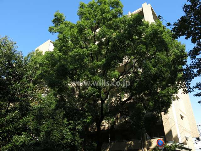 ネバーランド御影石屋川公園の外観（南西側から）