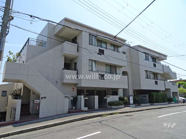 パラツィーナセシリア芦屋川の外観（北東側から）