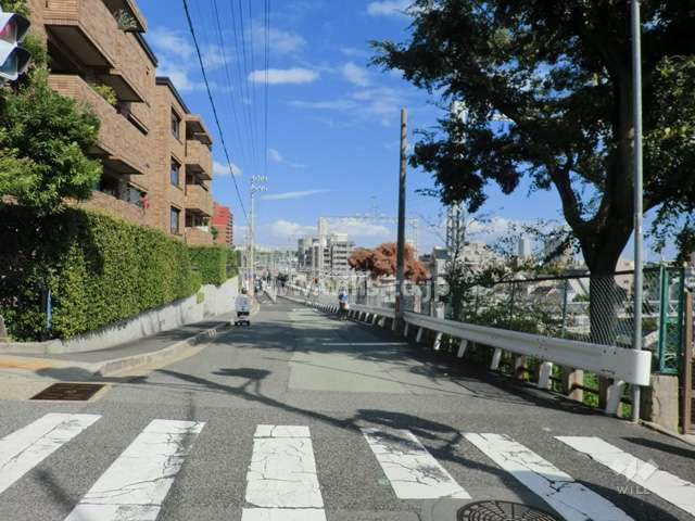 敷地南側の前面道路。