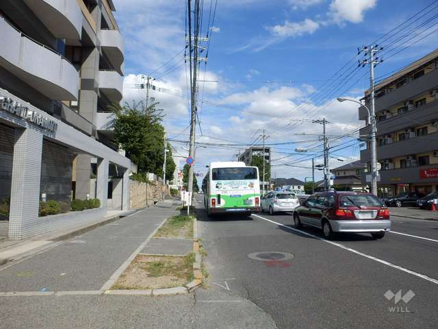 敷地南側の前面道路（山手幹線）