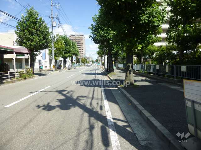 敷地北側の前面道路