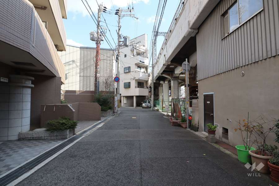 敷地南側の前面道路（西側から）