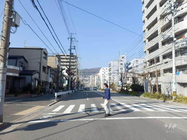 敷地南側の前面道路