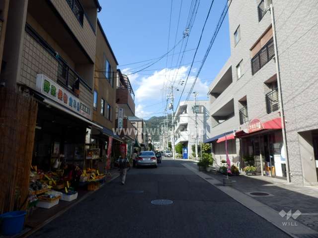 敷地西側の前面道路