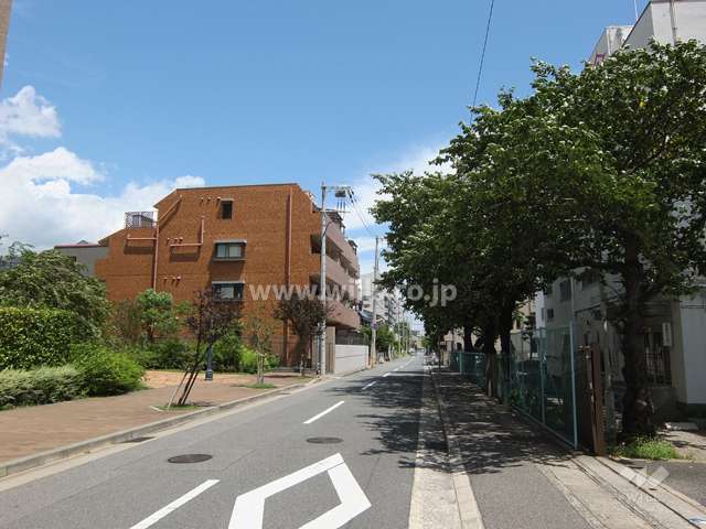 敷地南側の前面道路（西側から）