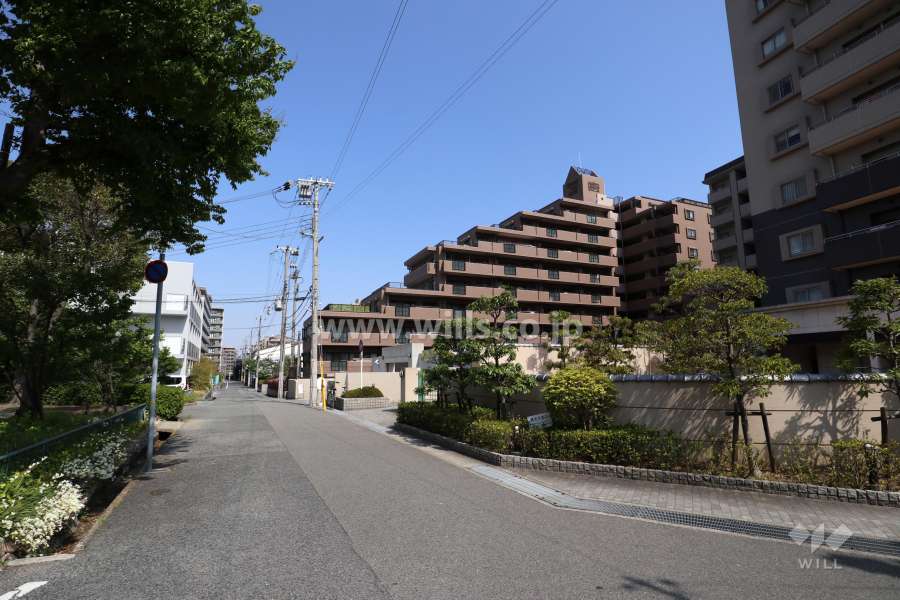敷地北側の前面道路