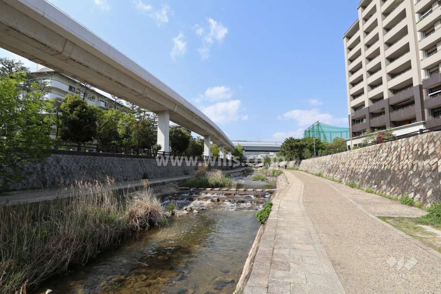 マンションの西側には『住吉川』が流れています。