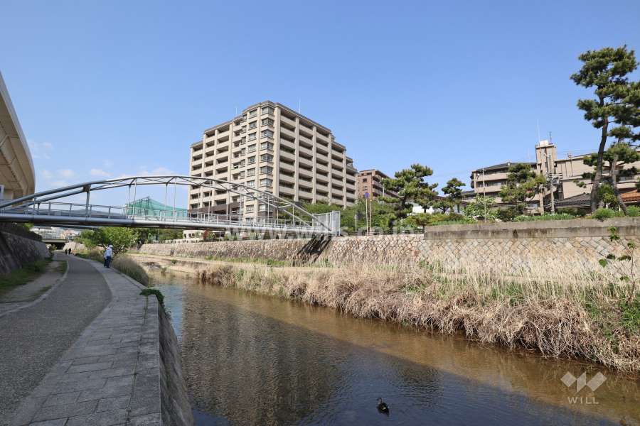 河川敷には『住吉川清流の道』と呼ばれる遊歩道が整備されています。