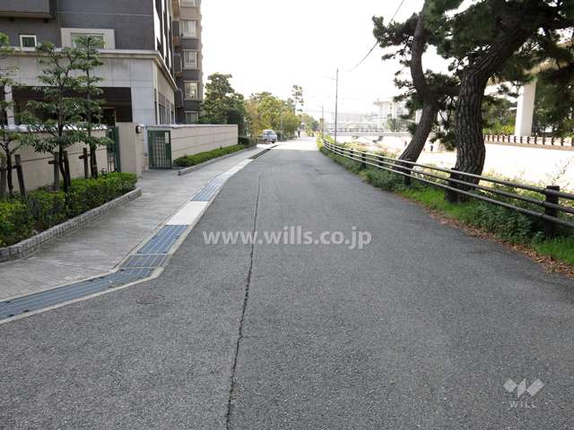 敷地西側の前面道路。道を挟んで、住吉川が流れています。
