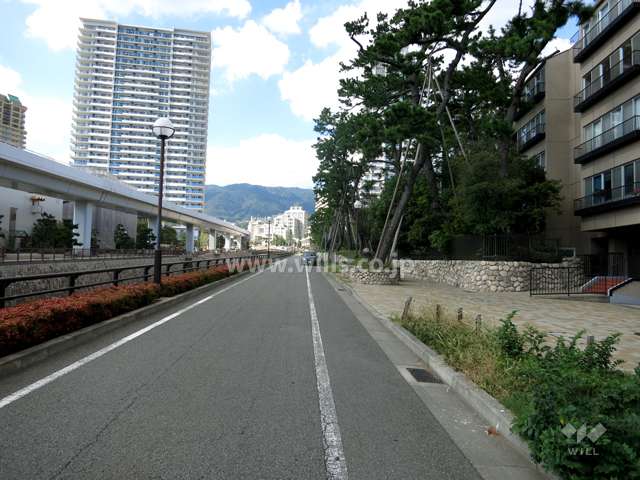 敷地西側の前面道路。道を挟んで住吉川が流れています。