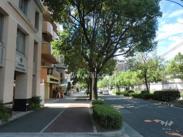 敷地北側の前面道路（山手幹線）。歩道があり街路樹がきれいな通りです。