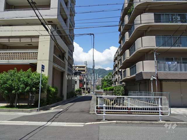 敷地東側の前面道路