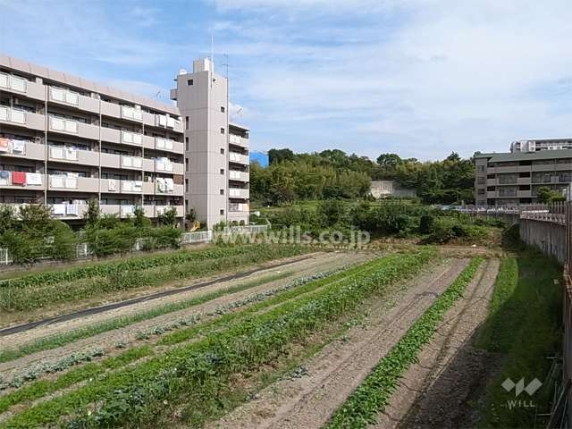 敷地の南側の様子。敷地の南側と東側には田畑が広がっています。