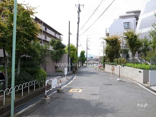 敷地北側の前面道路