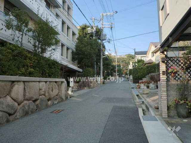 敷地東側の前面道路