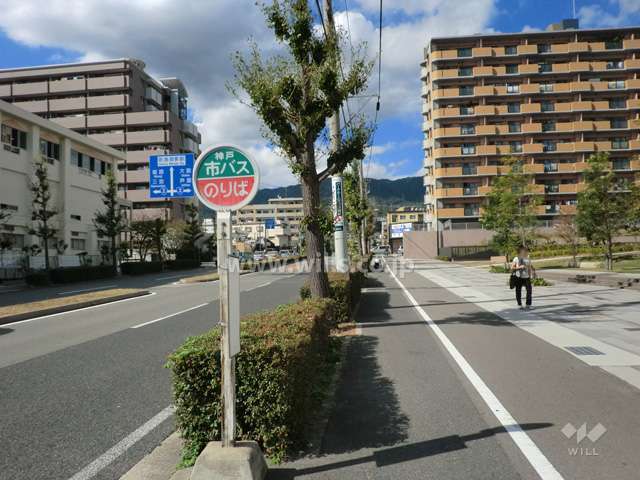 敷地の目の前にバス停があります。