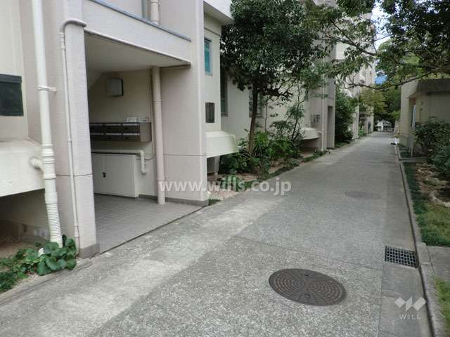 敷地内の通路