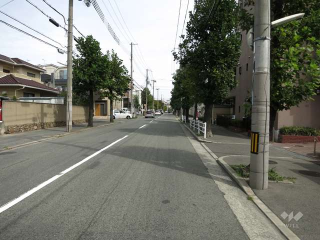 敷地北側の前面道路