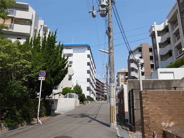 敷地南側の前面道路。周辺は区画の整ったマンションが多く立ち並ぶ住宅地です。